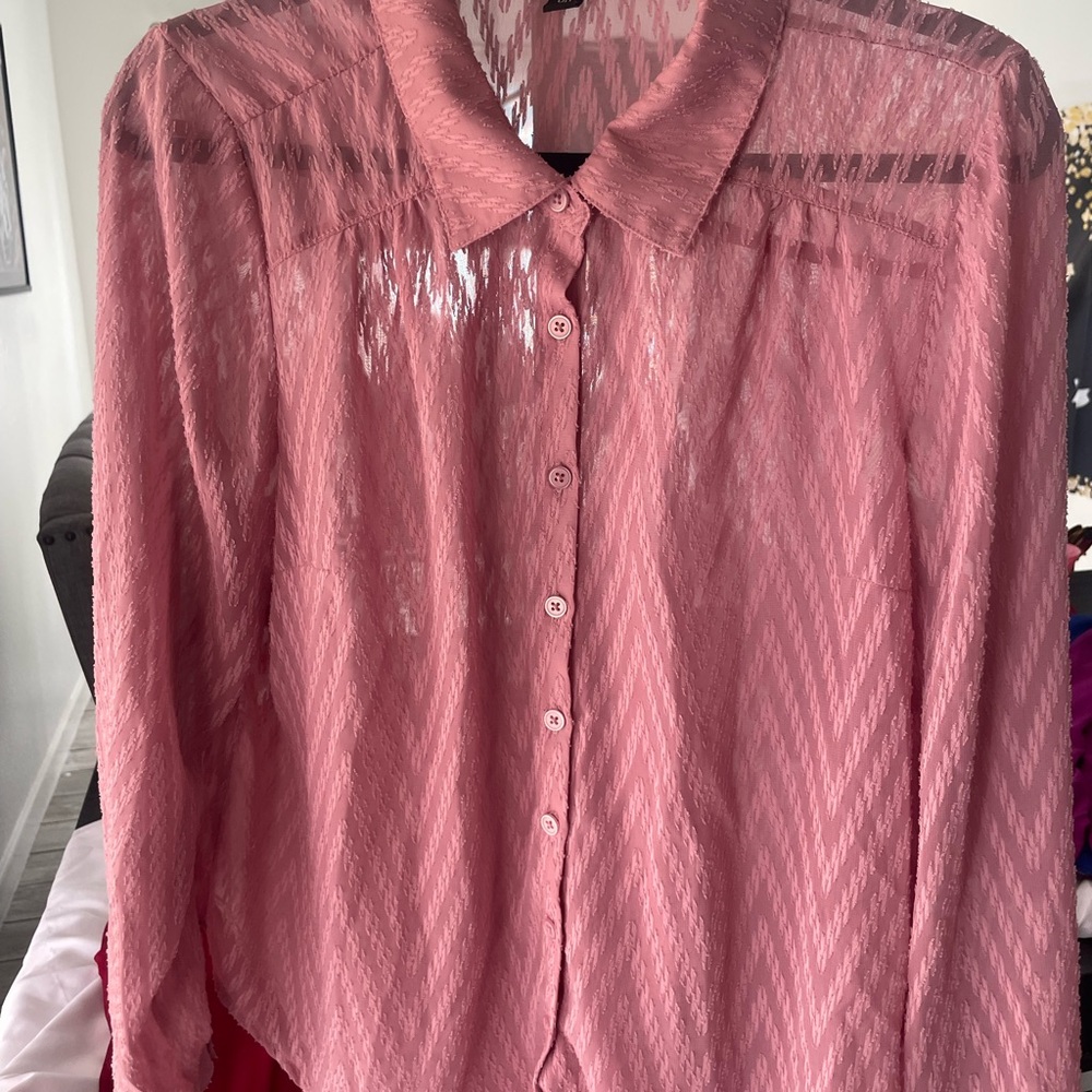 Sheer Button-Up Blouse in Dusty Rose